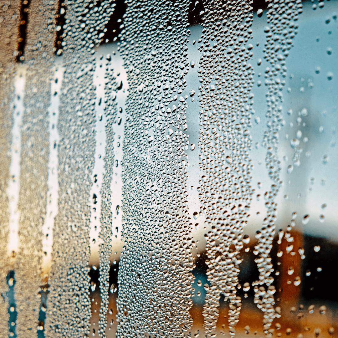 The Hidden Dangers of Humidity in Your Basement